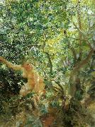 Anders Zorn skramd oil painting artist